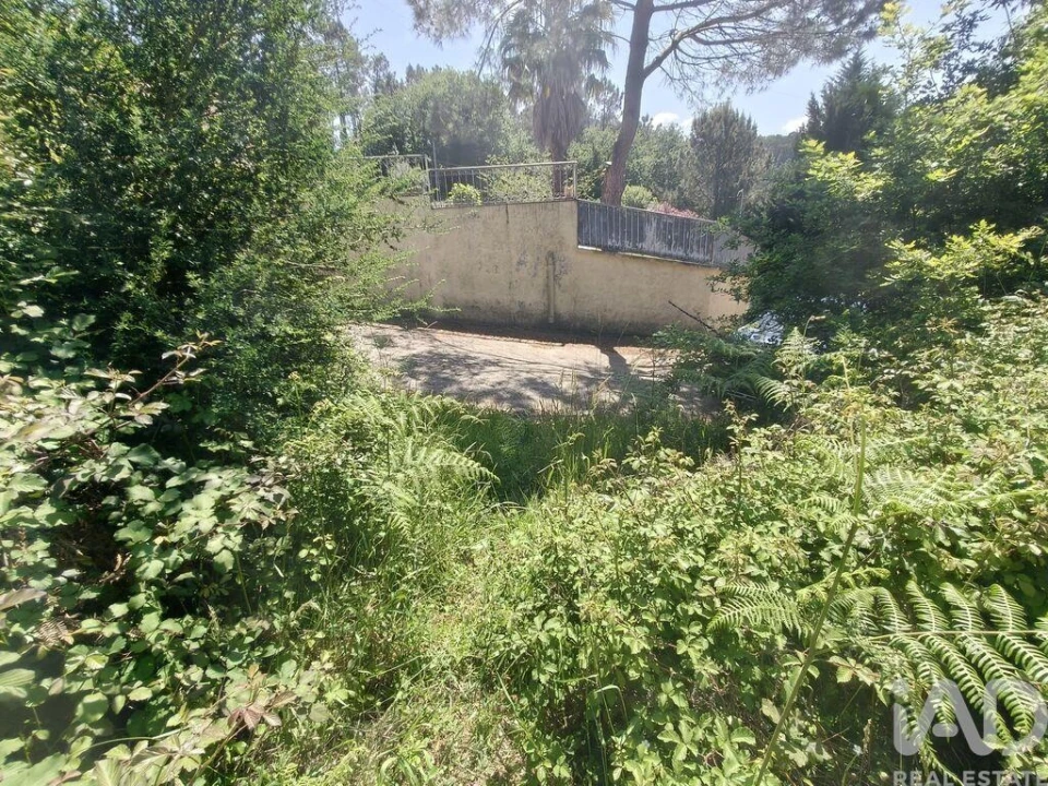 Terreno para Venda em Infesta Foto 26