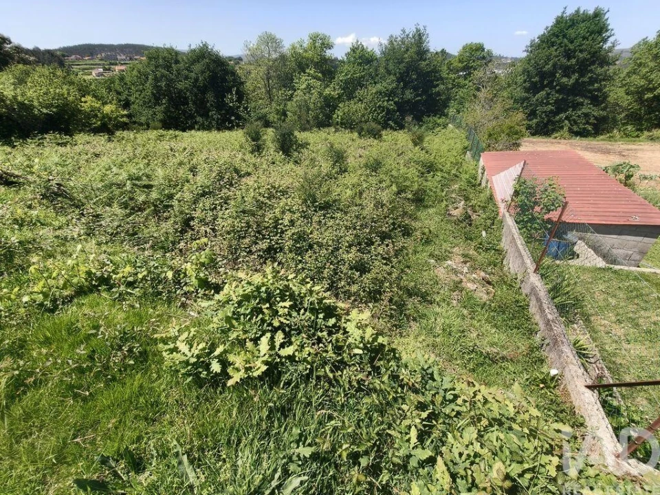 Terreno para Venda em Infesta Foto 4