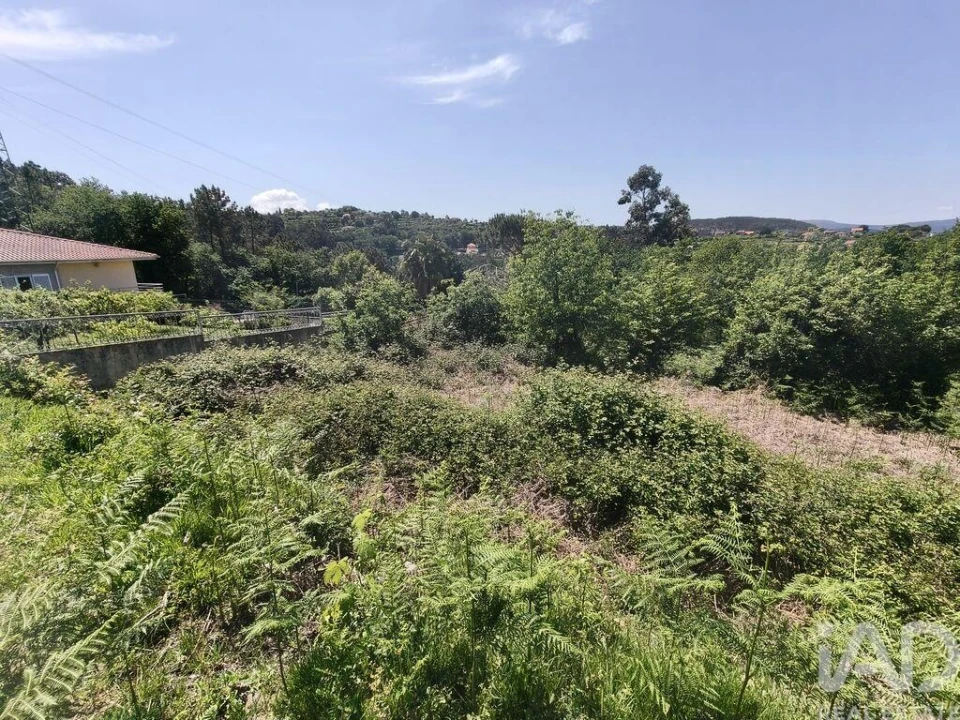 Terreno para Venda em Infesta Foto 7