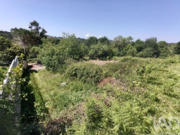 Terreno para Venda em Infesta