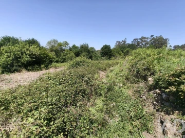Terreno para Venda em Infesta