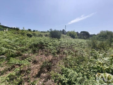 Terreno para Venda em Infesta