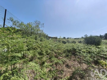 Terreno para Venda em Infesta