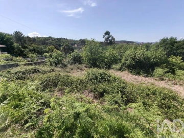 Terreno para Venda em Infesta