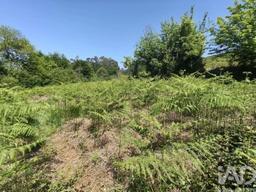 Terreno para Venda em Infesta