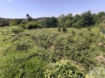 Terreno para Venda em Infesta
