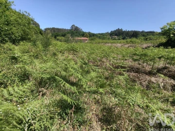 Terreno para Venda em Infesta