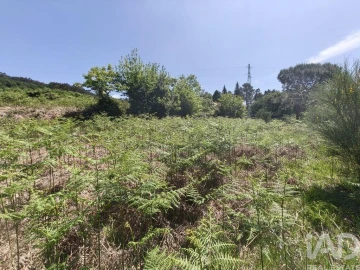 Terreno para Venda em Infesta