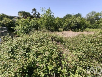 Terreno para Venda em Infesta