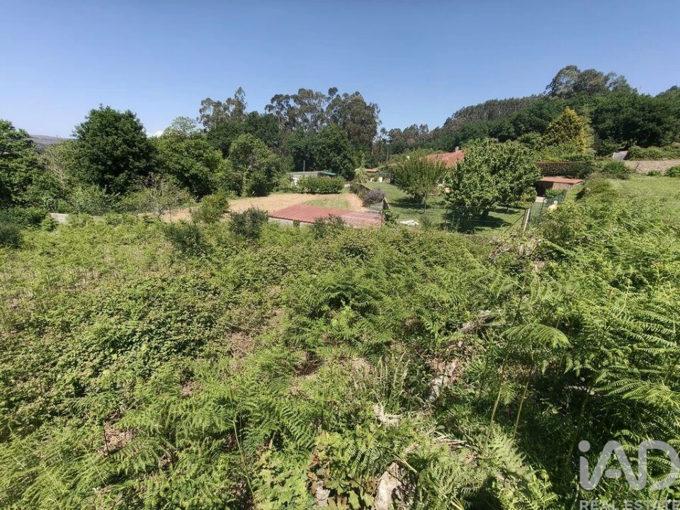 Terreno para Venda em Infesta Foto 6