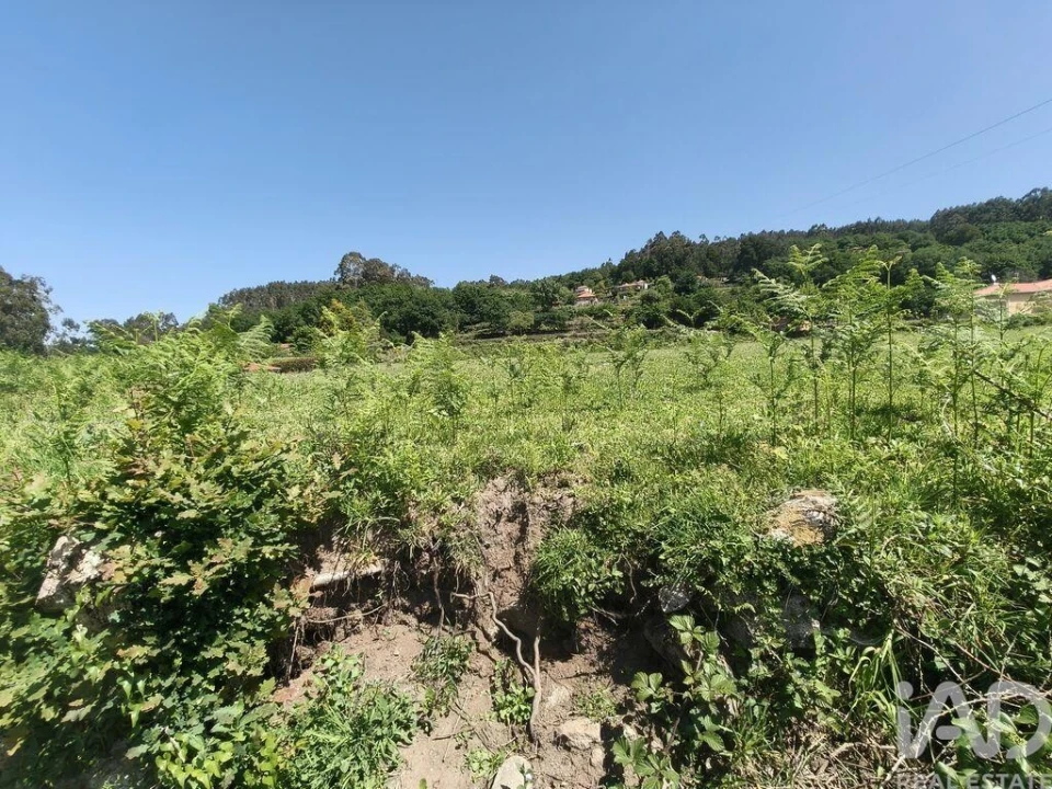 Terreno para Venda em Infesta Foto 15
