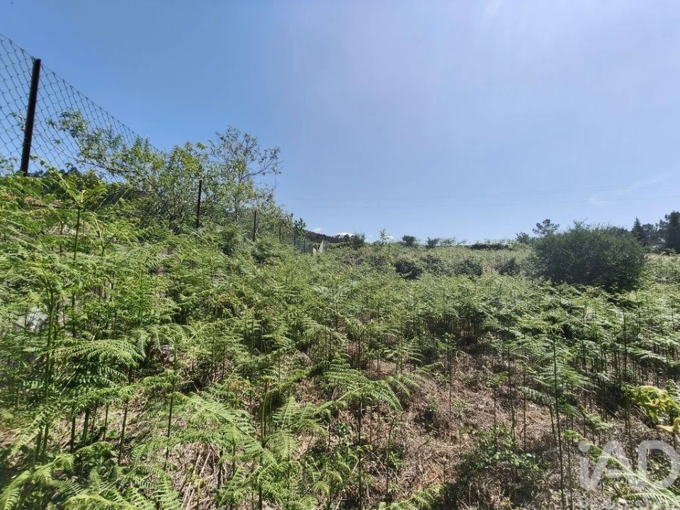 Terreno para Venda em Infesta Foto 22