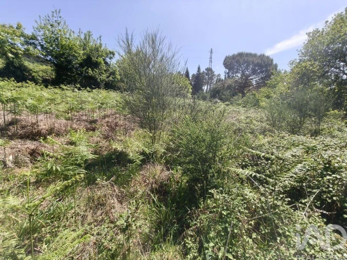 Terreno para Venda em Infesta Foto 25