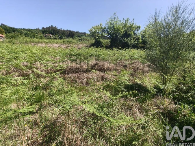 Terreno para Venda em Infesta Foto 23