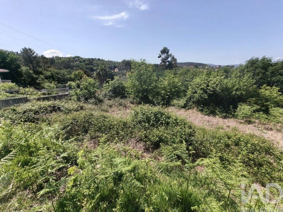 Terreno para Venda em Infesta Foto 8