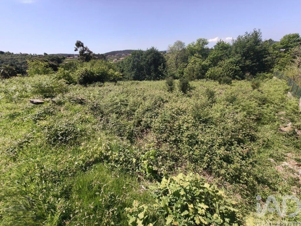 Terreno para Venda em Infesta Foto 2