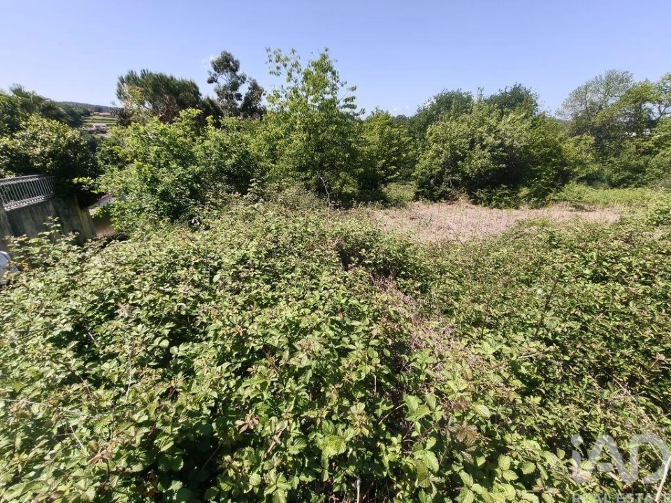 Terreno para Venda em Infesta Foto 12