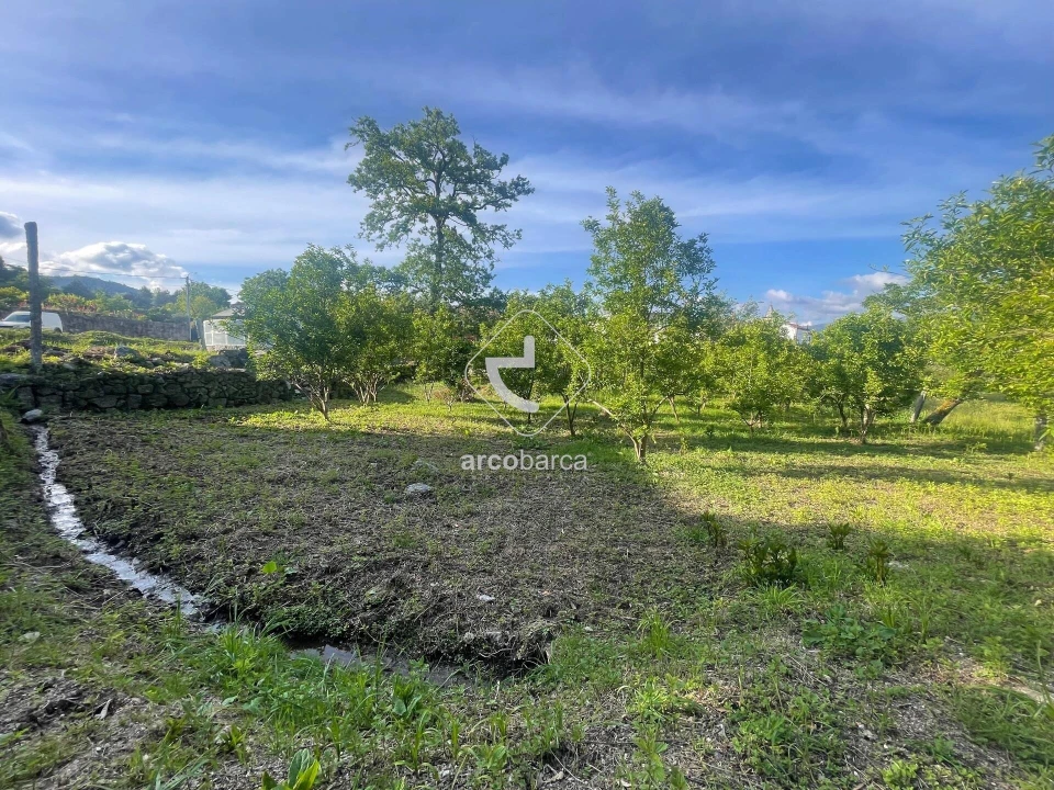 Terreno para Venda em São Jorge e Ermelo Foto 6