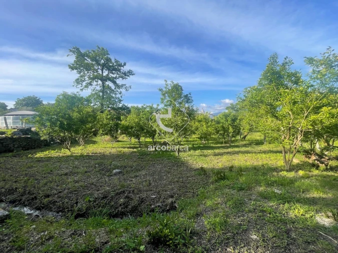 Terreno para Venda em São Jorge e Ermelo Foto 7