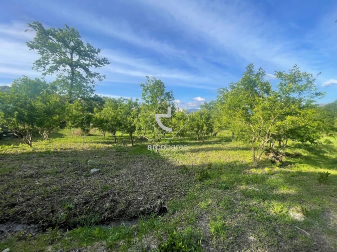 Terreno para Venda em São Jorge e Ermelo Foto 9