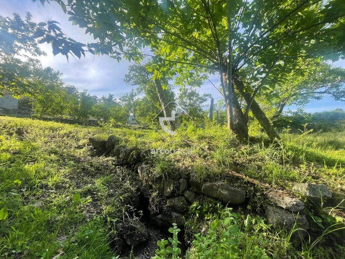 Terreno para Venda em São Jorge e Ermelo Foto 2