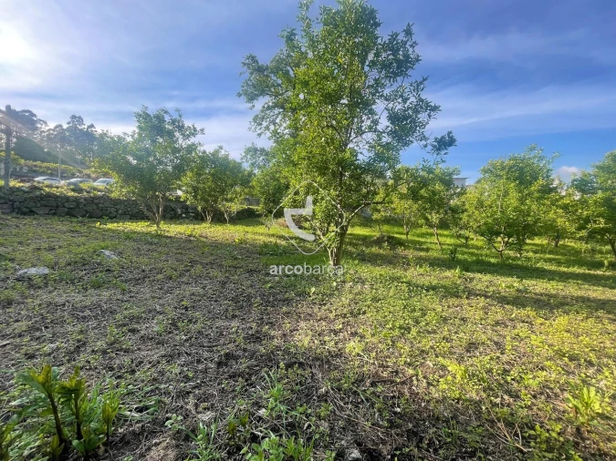 Terreno para Venda em São Jorge e Ermelo Foto 5