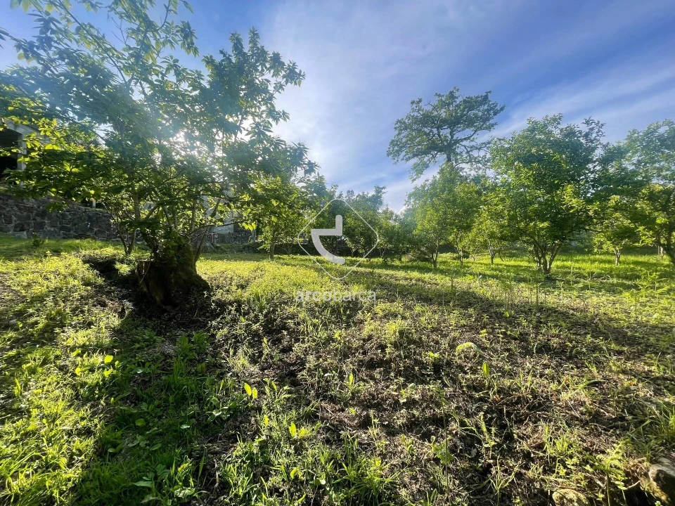 Terreno para Venda em São Jorge e Ermelo Foto 1