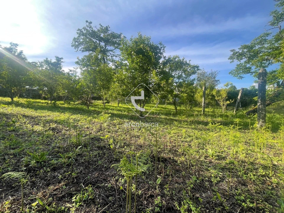 Terreno para Venda em São Jorge e Ermelo Foto 3