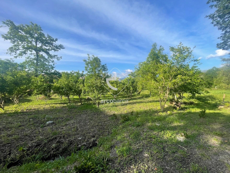 Terreno para Venda em São Jorge e Ermelo Foto 8