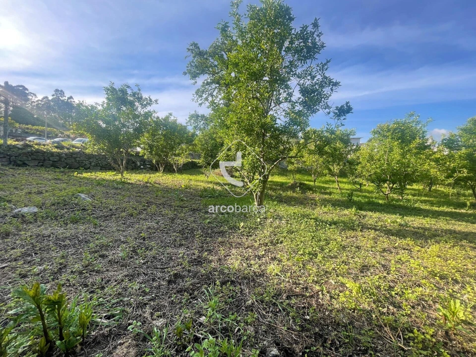 Terreno para Venda em São Jorge e Ermelo Foto 5
