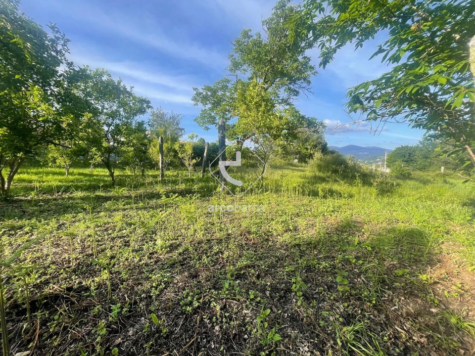 Terreno para Venda em São Jorge e Ermelo Foto 4