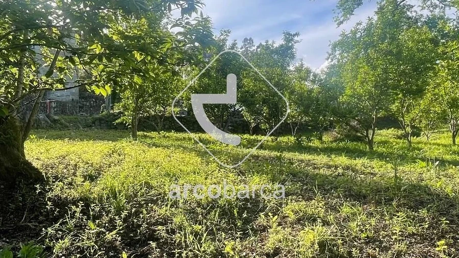 Terreno para Venda em São Jorge e Ermelo