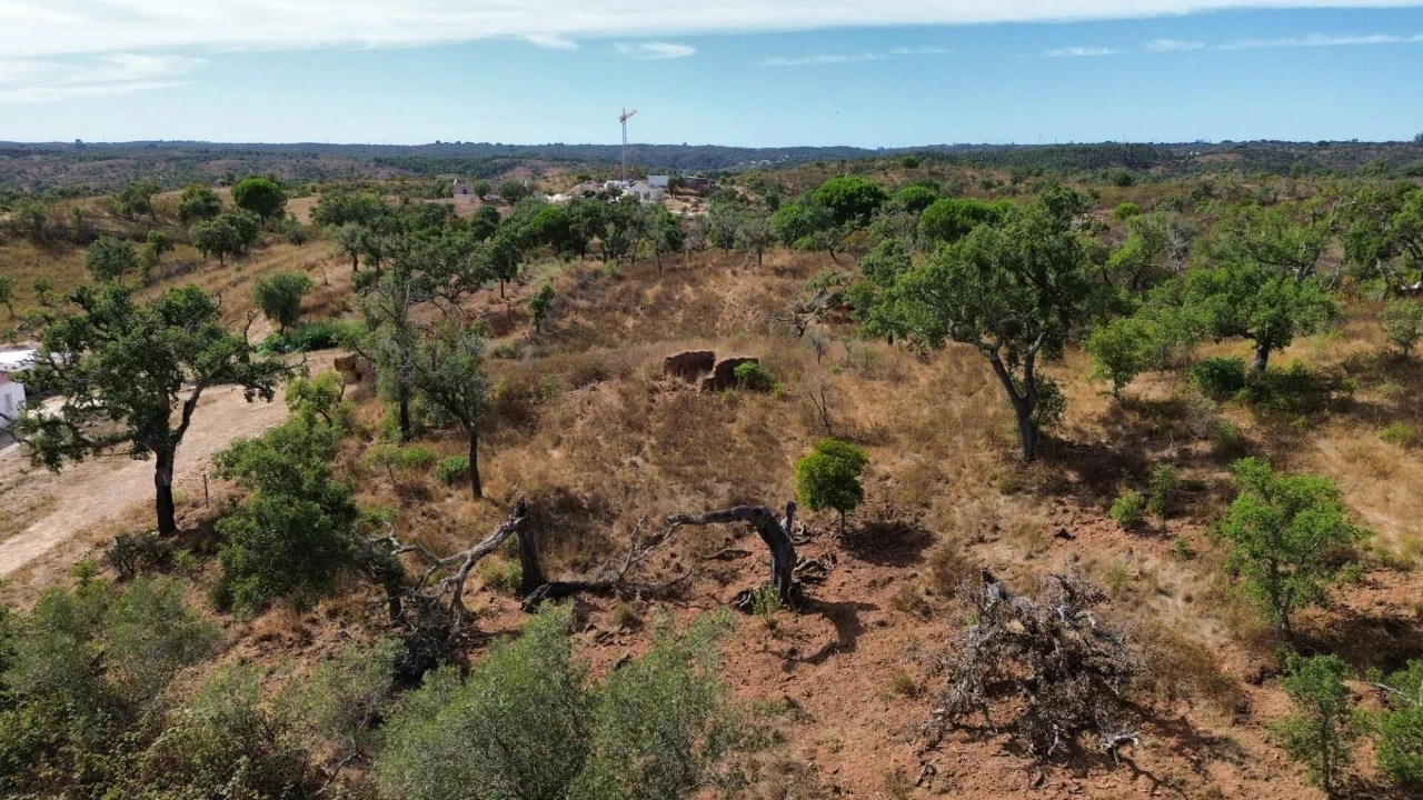 Terreno para Venda em Santiago do Cacém, Santa Cruz e São Bartolomeu da Serra Foto 12