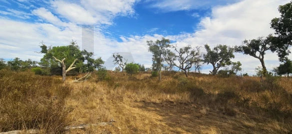 Terreno para Venda em Santiago do Cacém, Santa Cruz e São Bartolomeu da Serra