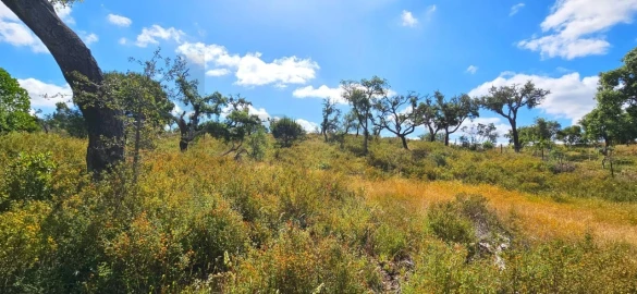 Terreno para Venda em Santiago do Cacém, Santa Cruz e São Bartolomeu da Serra