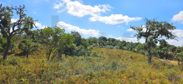 Terreno para Venda em Santiago do Cacém, Santa Cruz e São Bartolomeu da Serra