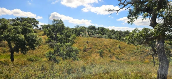 Terreno para Venda em Santiago do Cacém, Santa Cruz e São Bartolomeu da Serra
