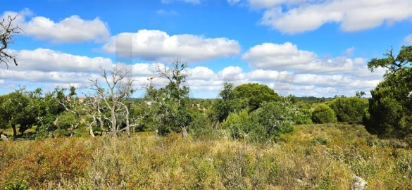 Terreno para Venda em Santiago do Cacém, Santa Cruz e São Bartolomeu da Serra