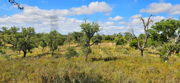 Terreno para Venda em Santiago do Cacém, Santa Cruz e São Bartolomeu da Serra