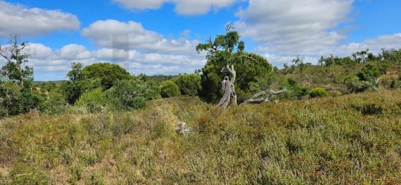 Terreno para Venda em Santiago do Cacém, Santa Cruz e São Bartolomeu da Serra