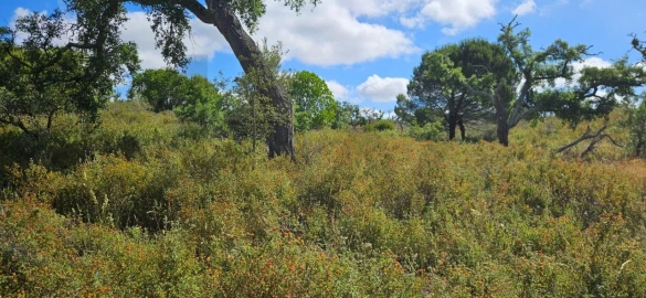 Terreno para Venda em Santiago do Cacém, Santa Cruz e São Bartolomeu da Serra