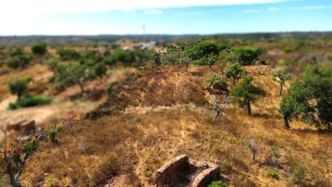 Terreno para Venda em Santiago do Cacém, Santa Cruz e São Bartolomeu da Serra