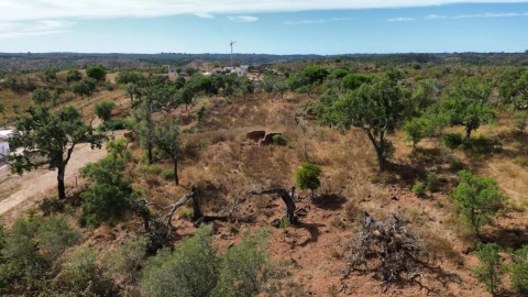 Terreno para Venda em Santiago do Cacém, Santa Cruz e São Bartolomeu da Serra