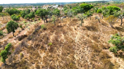 Terreno para Venda em Santiago do Cacém, Santa Cruz e São Bartolomeu da Serra