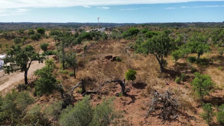 Terreno para Venda em Santiago do Cacém, Santa Cruz e São Bartolomeu da Serra Foto 12