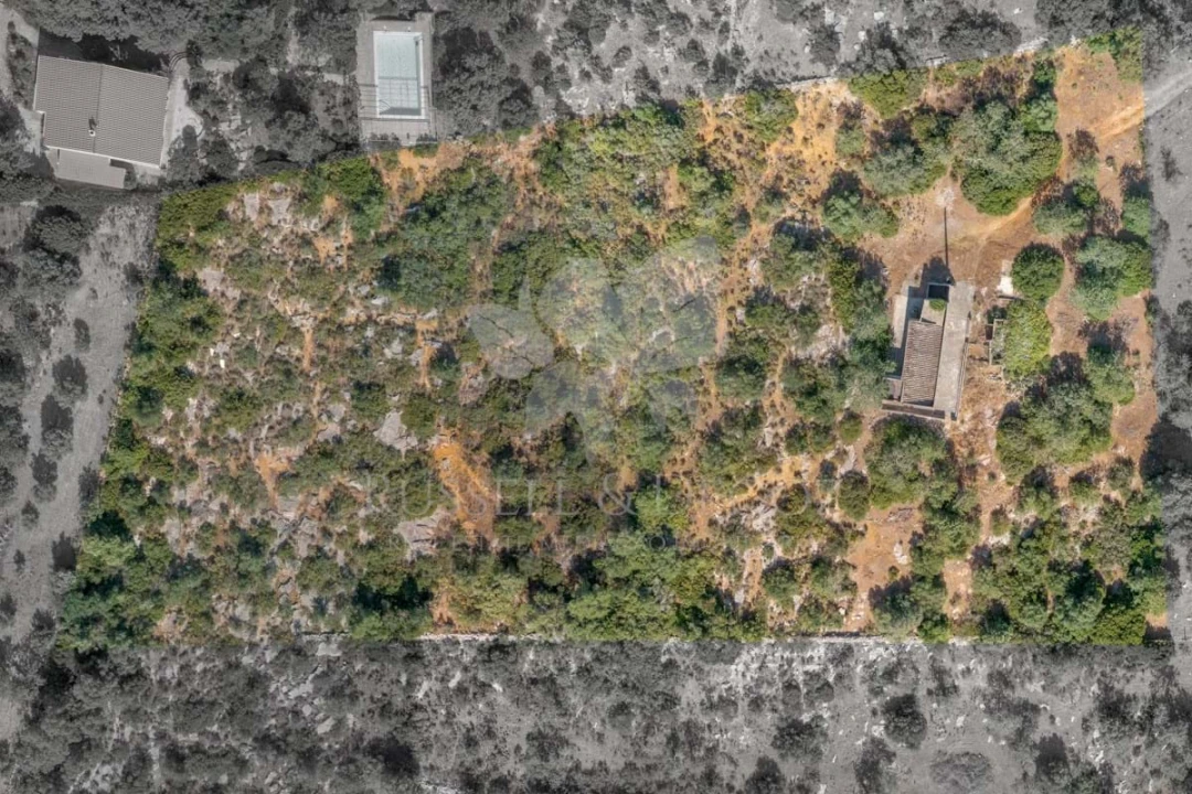 Terreno para Venda em Olhão Foto 8