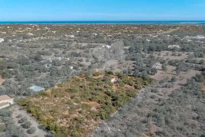Terreno para Venda em Olhão