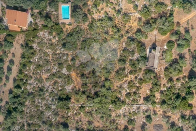 Terreno para Venda em Olhão