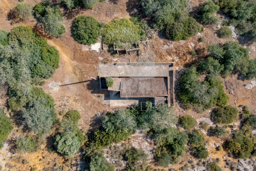Terreno para Venda em Olhão Foto 9