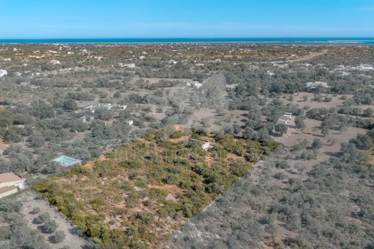 Terreno para Venda em Olhão Foto 12